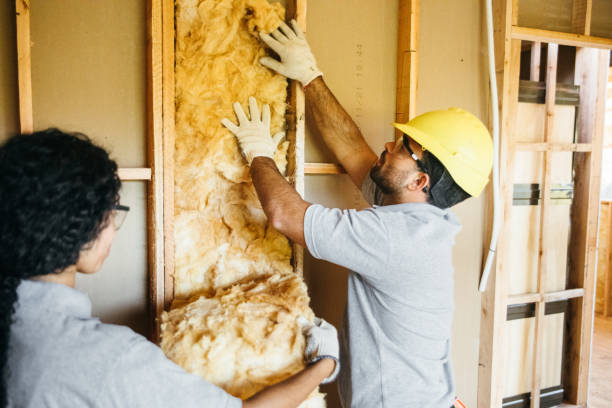 Types of Insulation We Offer in North Beach, MD